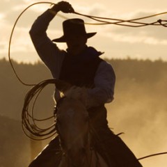 cowboy:گاوچران